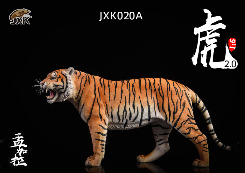 NEW PRODUCT: JXK: 1/6 Bengal Tiger Tiger - 2.0 Roaring & White Tiger Animal Model 11005910