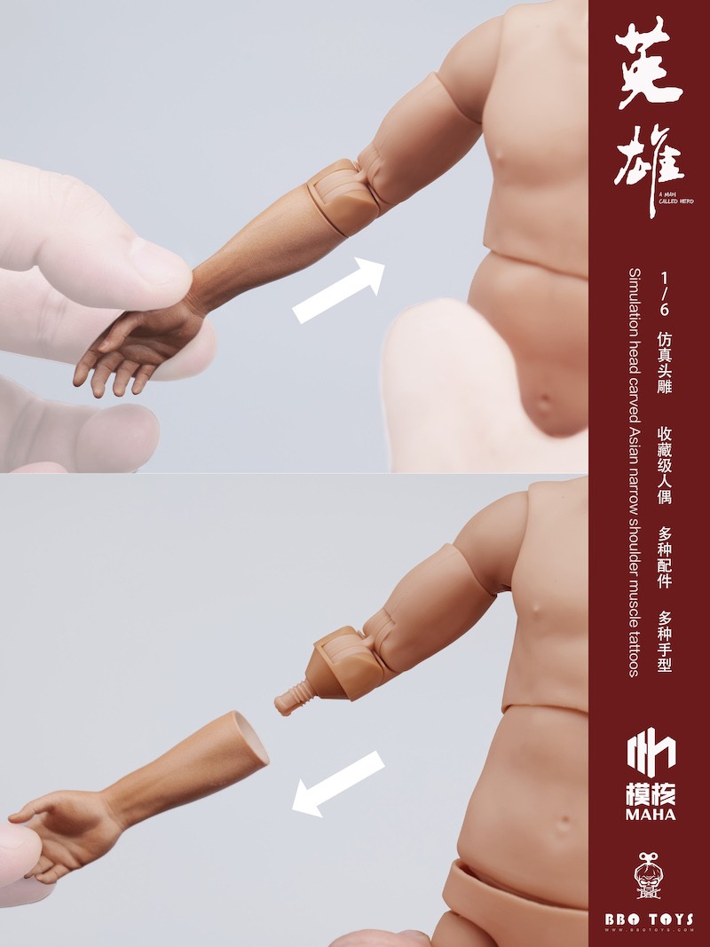 body - NEW PRODUCT: Modelcore: 1/6 modular male body and one-piece arm accessory package ~ and a preview of future series accessory packages ~ 11093111