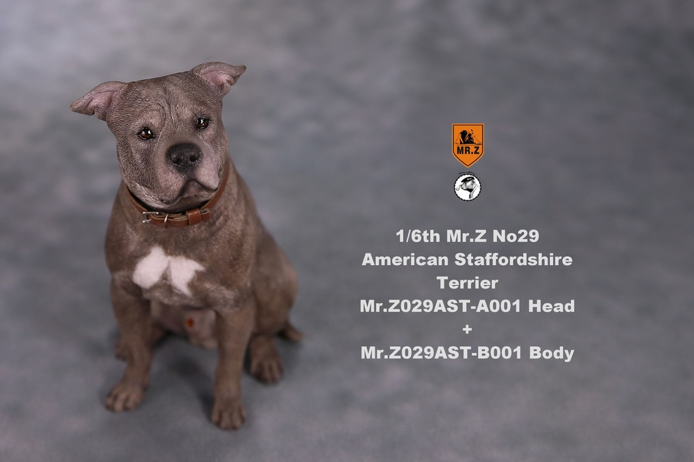movierelated - NEW PRODUCT: Mr.Z 1/6 Scale American Staffordshire Terrier (2 Heads, 3 versions) UPDATED 11133712