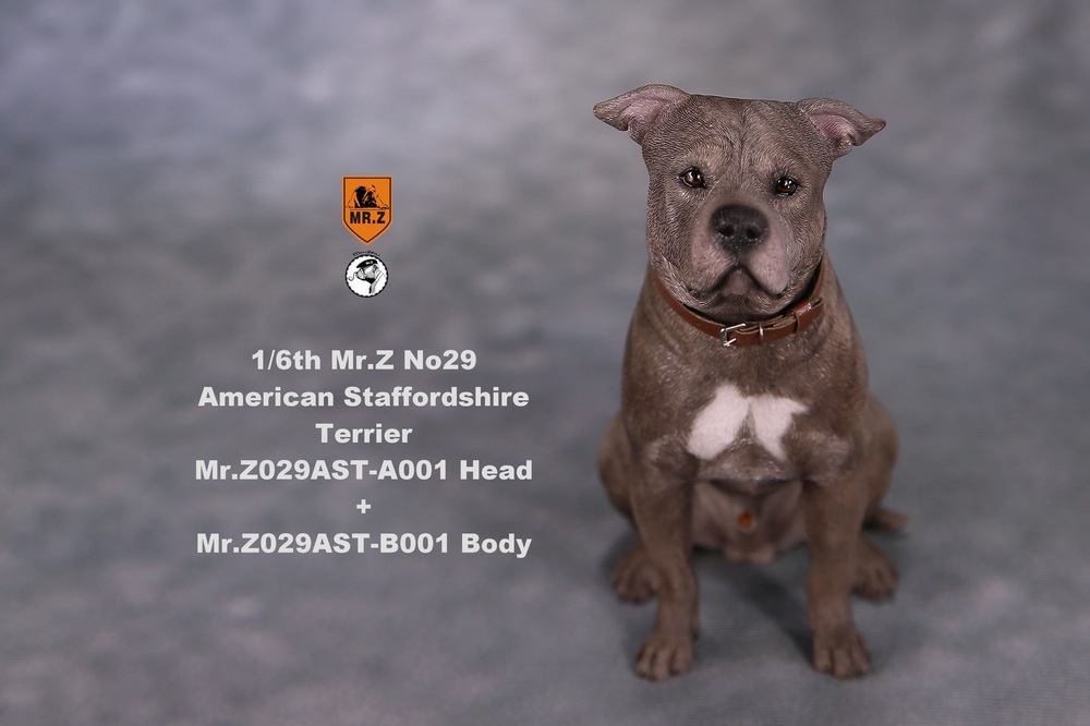 movierelated - NEW PRODUCT: Mr.Z 1/6 Scale American Staffordshire Terrier (2 Heads, 3 versions) UPDATED 11133713