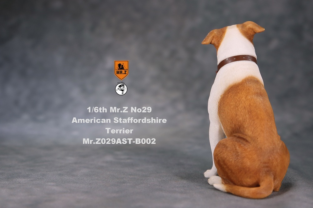 NEW PRODUCT: Mr.Z 1/6 Scale American Staffordshire Terrier (2 Heads, 3 versions) UPDATED 11142711