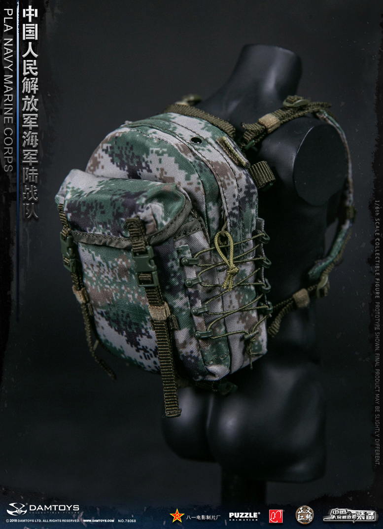 PLANavy - NEW PRODUCT: DAMTOYS: 1/6 People's Liberation Army Marine Corps / PLA NAVY MARINE CORPS (78068#) 11184011