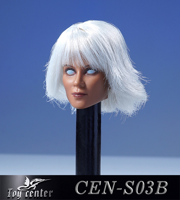 accessory - NEW PRODUCT: Toy Center: 1/6 European and American hair female head carving - two colors CEN-S03 11400311