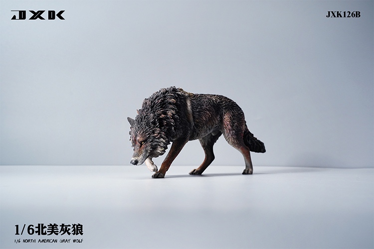 NEW PRODUCT: JXK Studio: 1/6 North American Gray Wolf (JXK126) 11441611