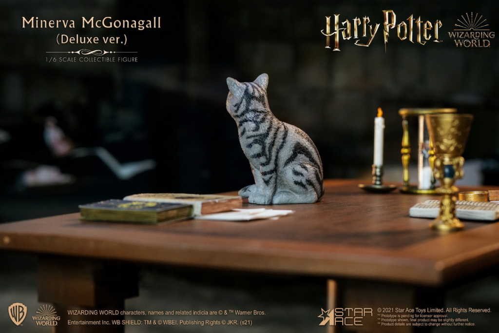 NEW PRODUCT: Star Ace Toys: 1/6 Harry Potter-McGonagall Education Assistance [Single Version, Deluxe Version, Professor's Desk Accessories] 11475410
