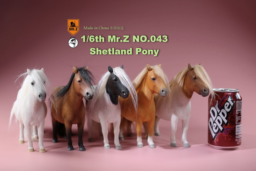 NEW PRODUCT: MR.Z: 1/6 simulation animal 43rd bomb - Shetland pony full 5 colors 11492310