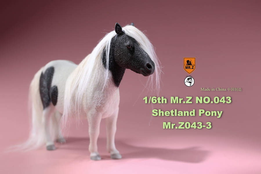 animal - NEW PRODUCT: MR.Z: 1/6 simulation animal 43rd bomb - Shetland pony full 5 colors 11530810