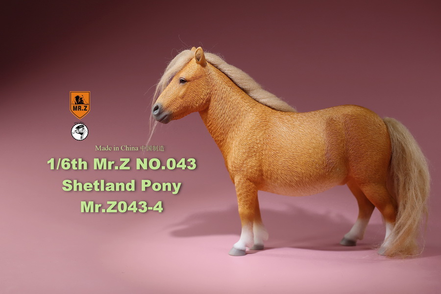 Mr - NEW PRODUCT: MR.Z: 1/6 simulation animal 43rd bomb - Shetland pony full 5 colors 11533011