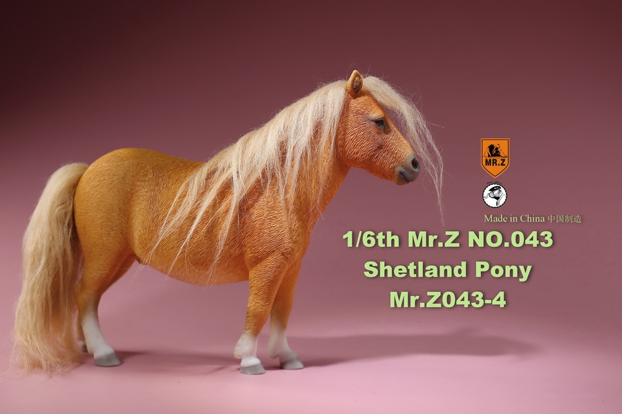 NEW PRODUCT: MR.Z: 1/6 simulation animal 43rd bomb - Shetland pony full 5 colors 11533110