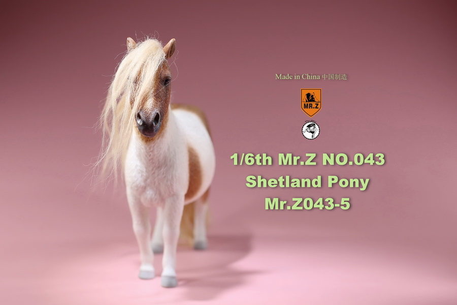 animal - NEW PRODUCT: MR.Z: 1/6 simulation animal 43rd bomb - Shetland pony full 5 colors 11534611