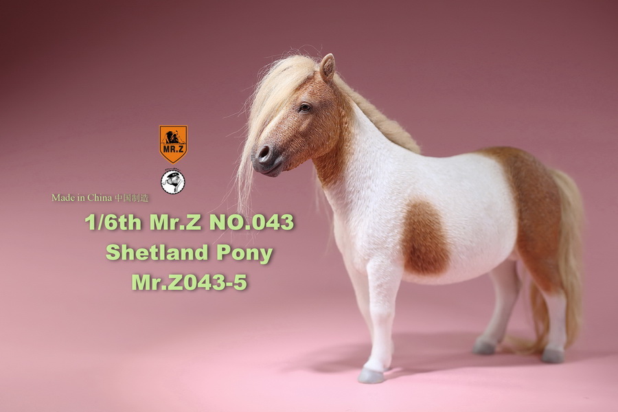 NEW PRODUCT: MR.Z: 1/6 simulation animal 43rd bomb - Shetland pony full 5 colors 11534710