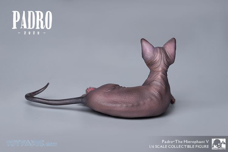 stylized - NEW PRODUCT: RingToys: 1/6 2020 Series - The Hierophant V - Padro (Standard Version) & (Deluxe Version) (UPDATED WITH MORE PHOTOS & INFORMATION) 12272036