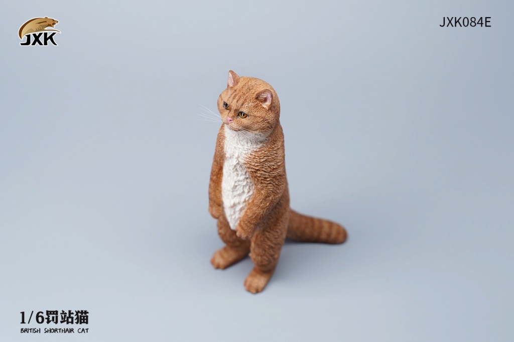 feline - NEW PRODUCT: JXK Studio: 1/6 Punishment Cat (British Shorthair) GK Animal Model #JXK084 13114311