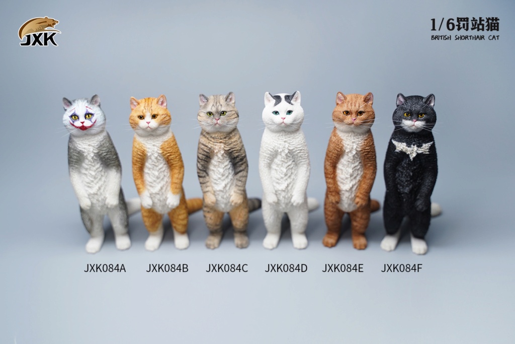 feline - NEW PRODUCT: JXK Studio: 1/6 Punishment Cat (British Shorthair) GK Animal Model #JXK084 13114712