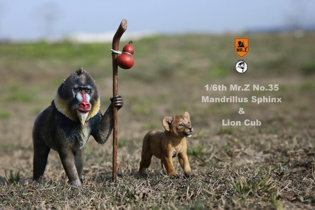 MandrillusSphinx - NEW PRODUCT: Mr.Z New: 1/6 Simulation Animals 35th - Hawthorn & Cub Set 13225510