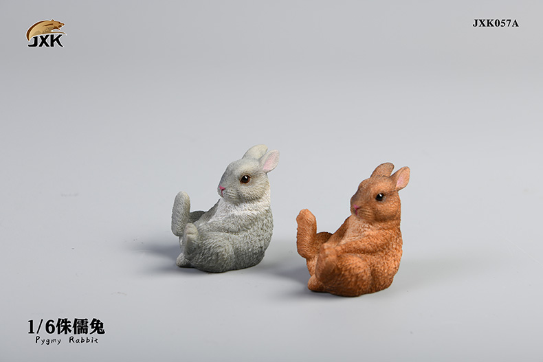 NEW PRODUCT: JXK Studio: 1/6 Animal Series Little Fragrant Pig JXK059 & Dwarf Rabbit JXK057 Two Multi-Colors 13230710