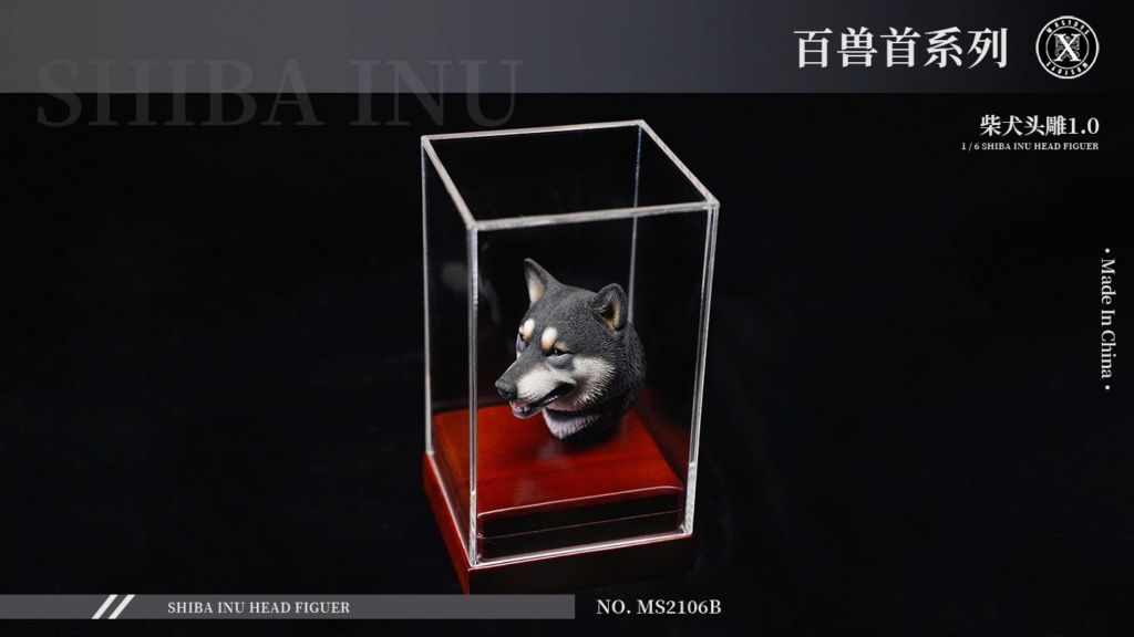 NEW PRODUCT: Mostoys: Sixth series of beast: 1/6 Shiba Inu head carving 1.0 13484611
