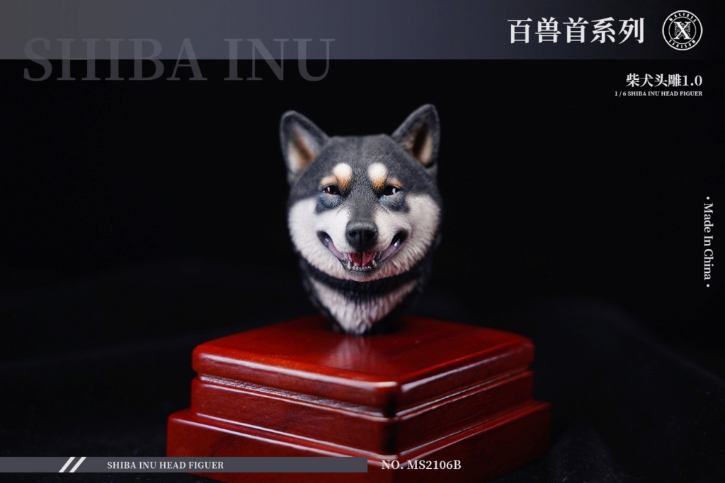 headsculpt - NEW PRODUCT: Mostoys: Sixth series of beast: 1/6 Shiba Inu head carving 1.0 13484711