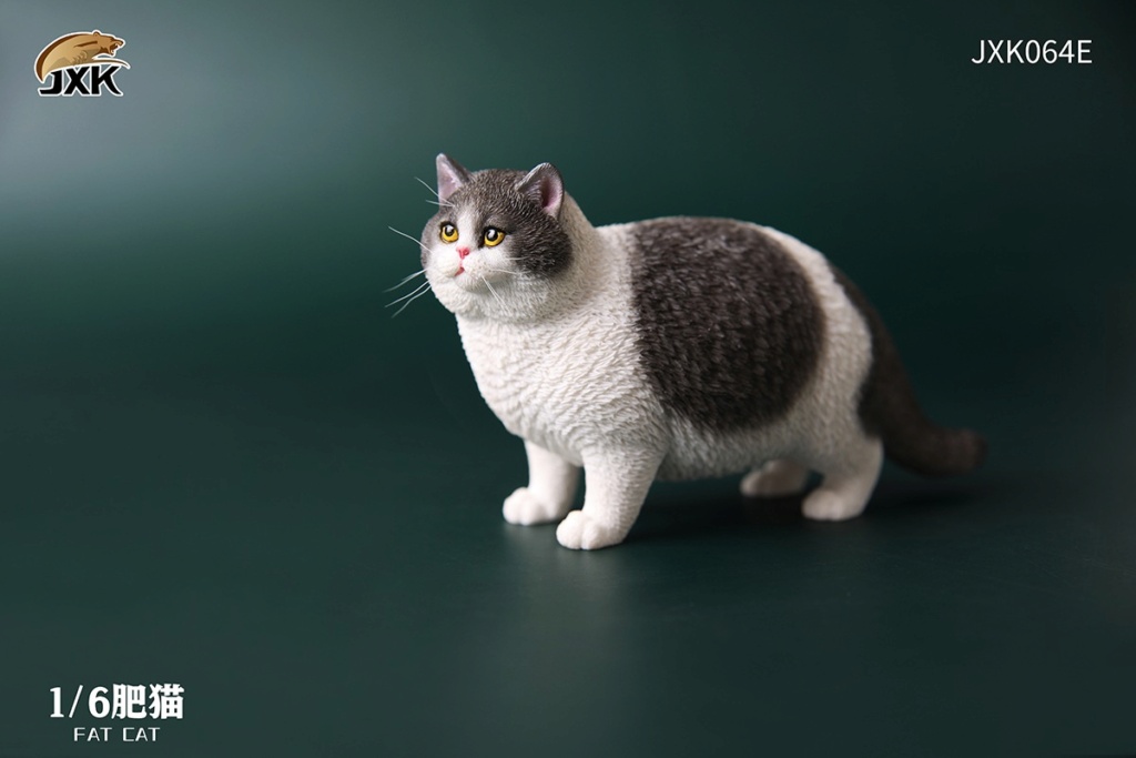 feline - NEW PRODUCT: JXK: 1/6 fat cat [six colors optional] JXK064 14512910