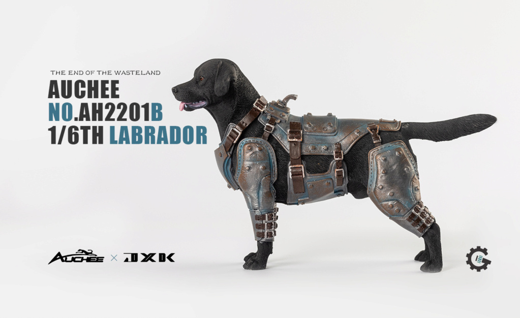 NEW PRODUCT: Auchee & JXK Studio: 1/6 Armor Labrador (AH2201) 14560810