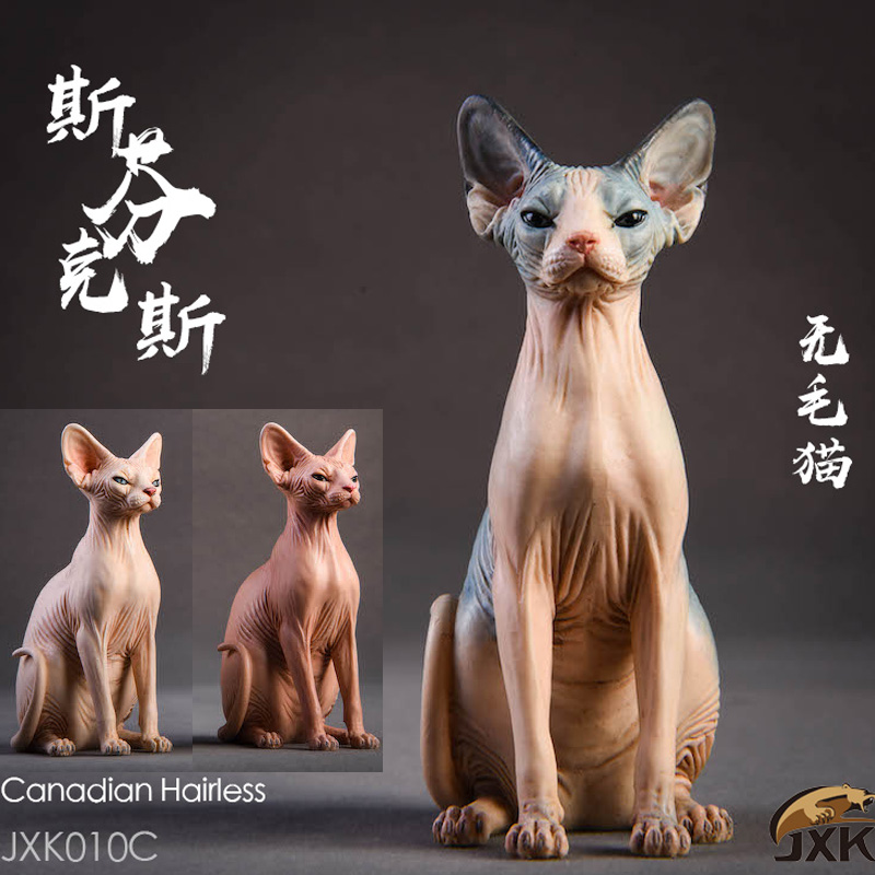 animal - NEW PRODUCT: JxK.Studio (Jxk010) 1/6 Hairless Cat Sphynx Animal Model GK Static Decoration 14580110