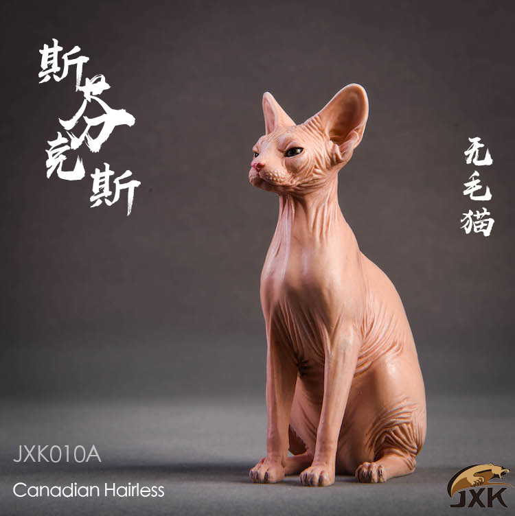 feline - NEW PRODUCT: JxK.Studio (Jxk010) 1/6 Hairless Cat Sphynx Animal Model GK Static Decoration 14580511