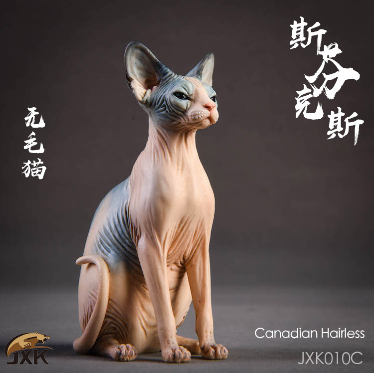 animal - NEW PRODUCT: JxK.Studio (Jxk010) 1/6 Hairless Cat Sphynx Animal Model GK Static Decoration 14580910
