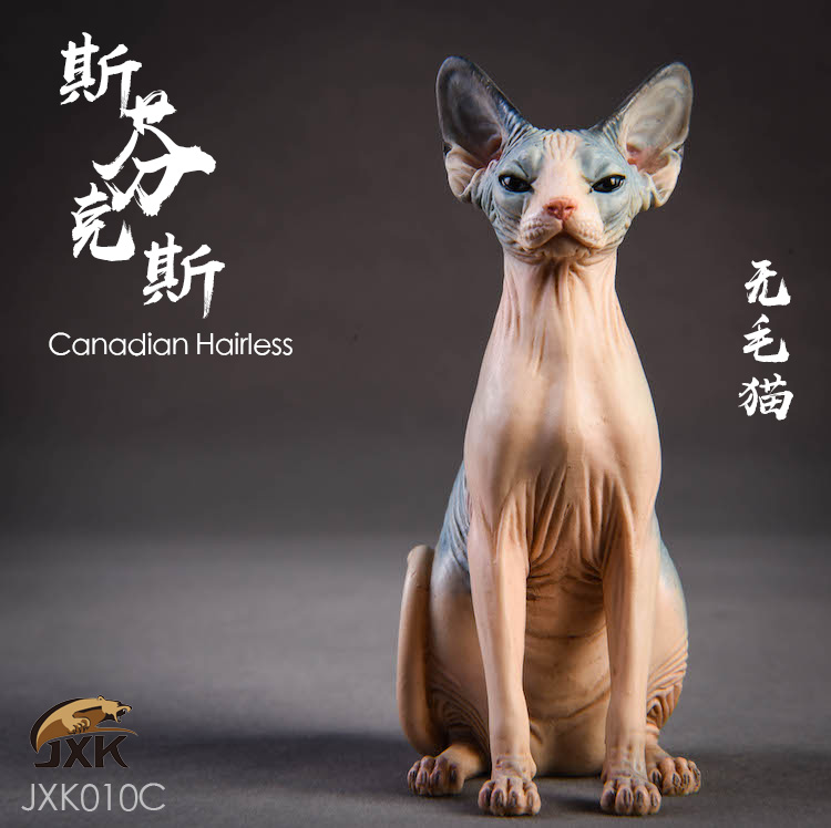Topics tagged under animal on OneSixthFigures 14581410