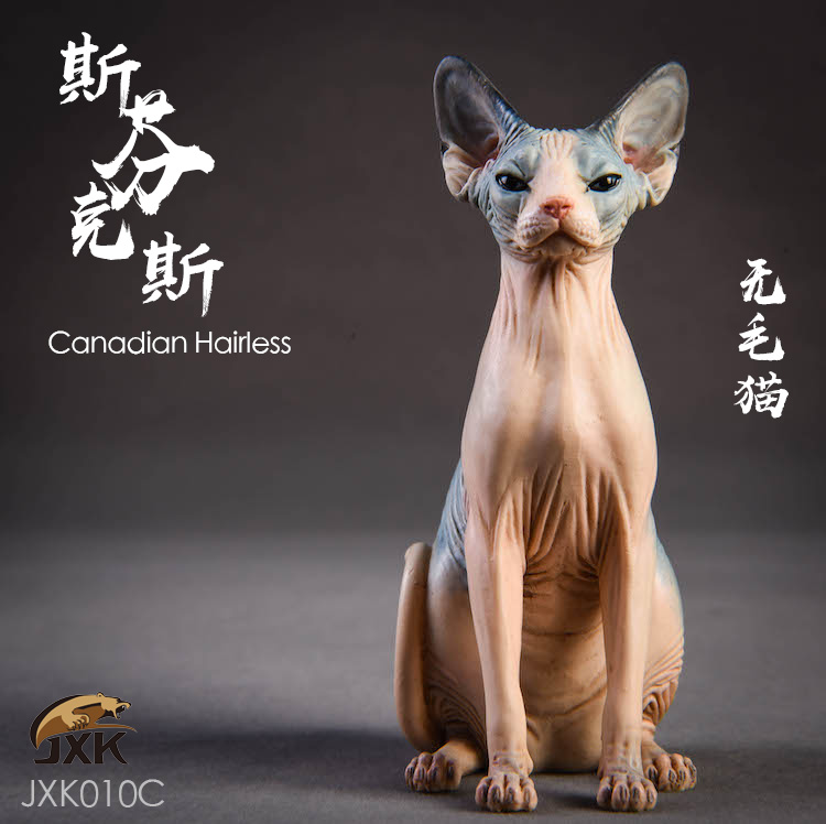 feline - NEW PRODUCT: JxK.Studio (Jxk010) 1/6 Hairless Cat Sphynx Animal Model GK Static Decoration 14581410