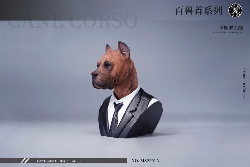 NEW PRODUCT: Mostoys: 1/6 scale Cane Corso Head 15252811