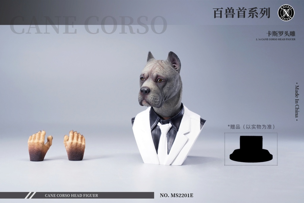 NEW PRODUCT: Mostoys: 1/6 scale Cane Corso Head 15253511