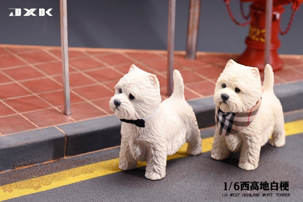 NEW PRODUCT: JXK Studio: 1/6 West Highland White Terrier (JXK108) 15273611