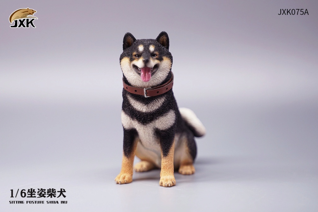 sitting - NEW PRODUCT: JXK Studio: /6 Sitting Shiba Inu dog 15351810