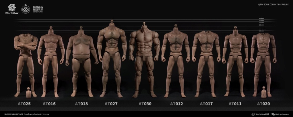 Body - NEW PRODUCT: Worldbox: 1/6-resistant body, thick version of "AT030", New generation  15521812