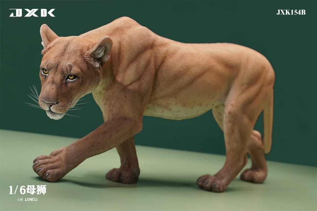 Lioness - NEW PRODUCT: JXK STUDIO: 1/6 lioness JXK154 (2 styles) 16070714