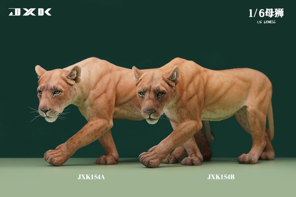 female - NEW PRODUCT: JXK STUDIO: 1/6 lioness JXK154 (2 styles) 16071212