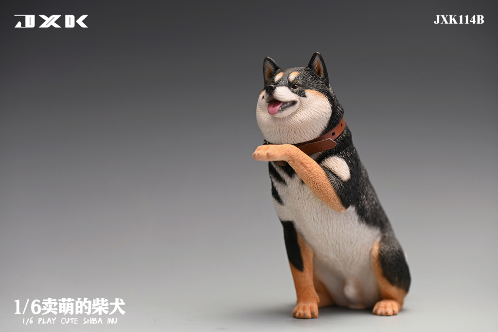 NEW PRODUCT: JXK Studio: 1/6 scale Playful Cute Shiba Inu (JXK114) 16323711