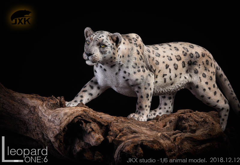 leopard - NEW PRODUCT: JXK New: 1/6 Leopard - Black Panther Jaguar Snow Leopard animal model double head carved eyes can be fluorescent 16361710