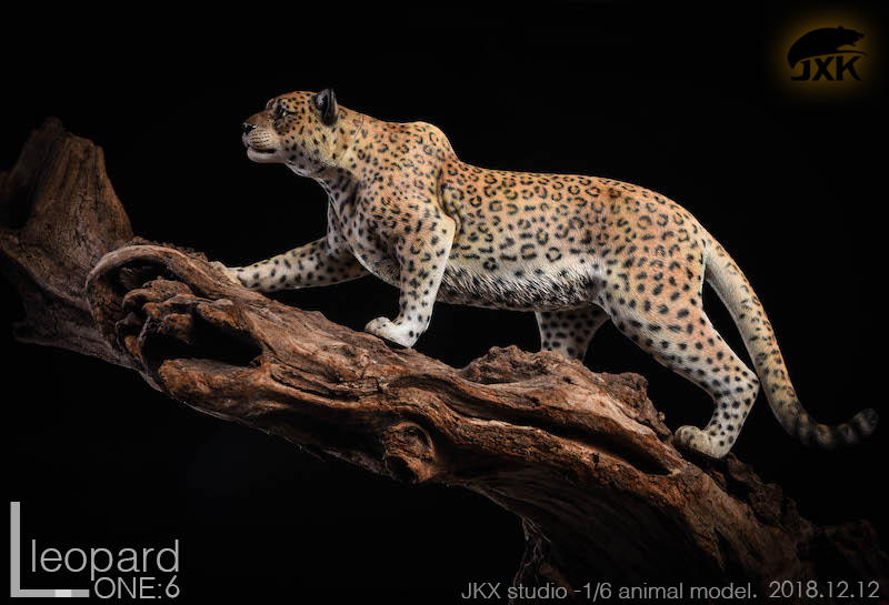 JXK - NEW PRODUCT: JXK New: 1/6 Leopard - Black Panther Jaguar Snow Leopard animal model double head carved eyes can be fluorescent 16362010