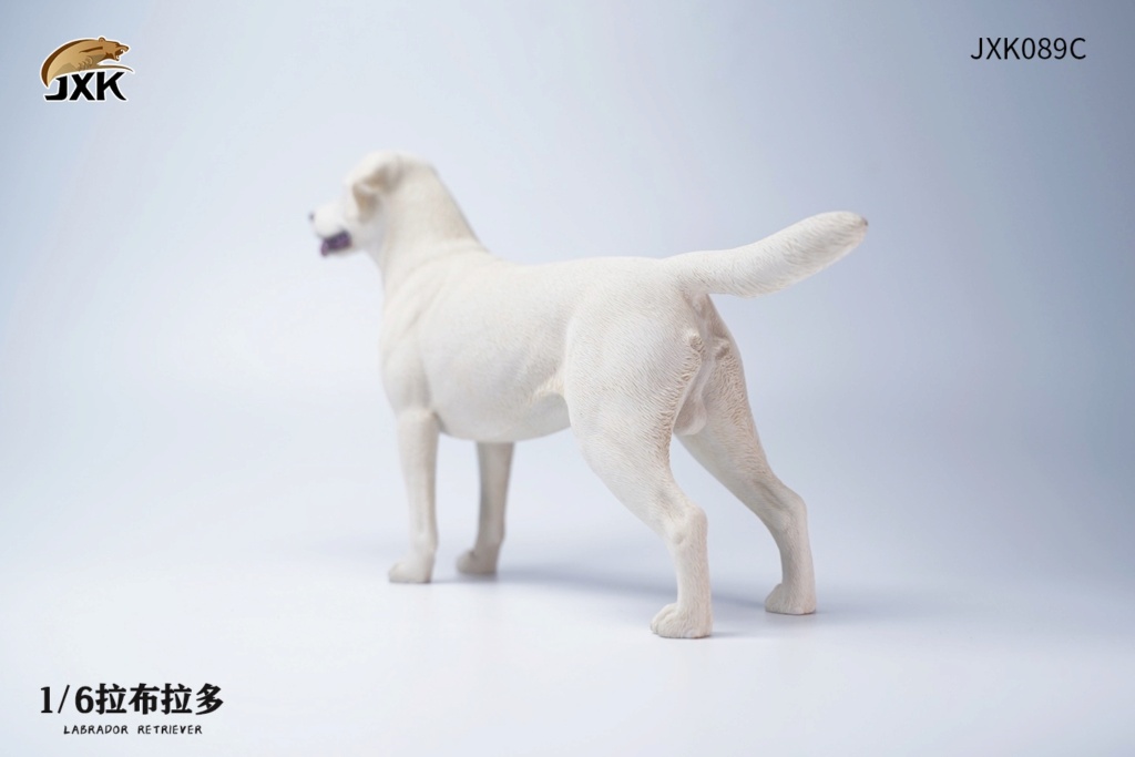 NEW PRODUCT: JXK Studio: 1/6 Labrador (JXK089) 17043210