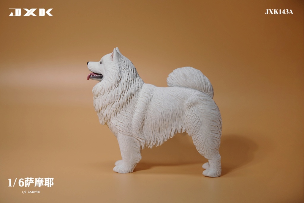 accessory - NEW PRODUCT: JXK Studio: 1/6 Samoyed JXK143 17231310