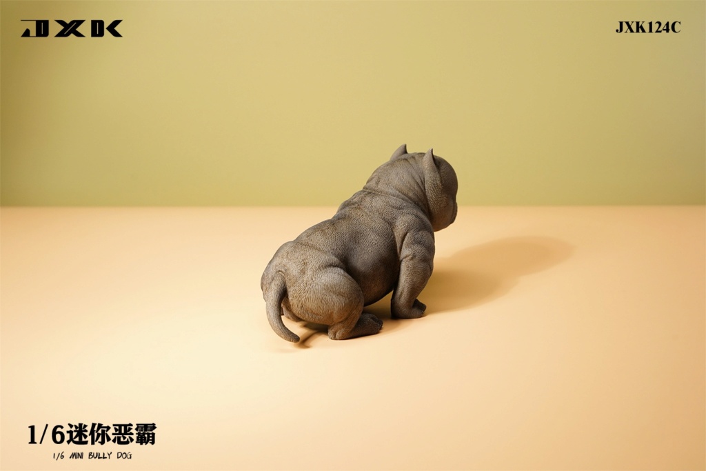 NEW PRODUCT: JXK Studio: 1/6 Mini Bull Dog (#JXK124) 17483111