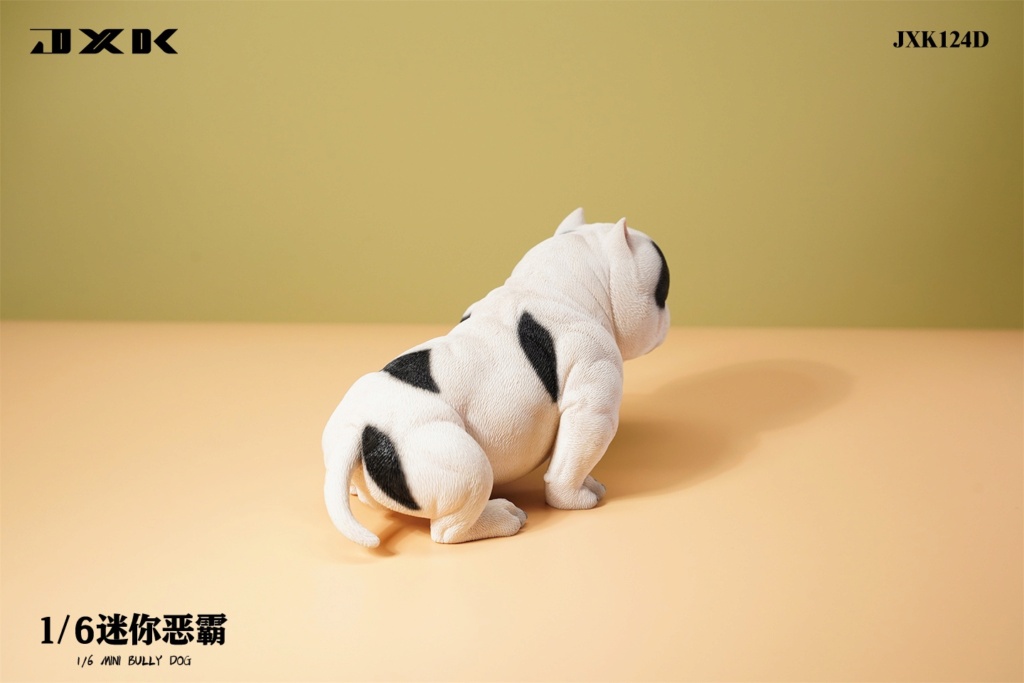 NEW PRODUCT: JXK Studio: 1/6 Mini Bull Dog (#JXK124) 17483211