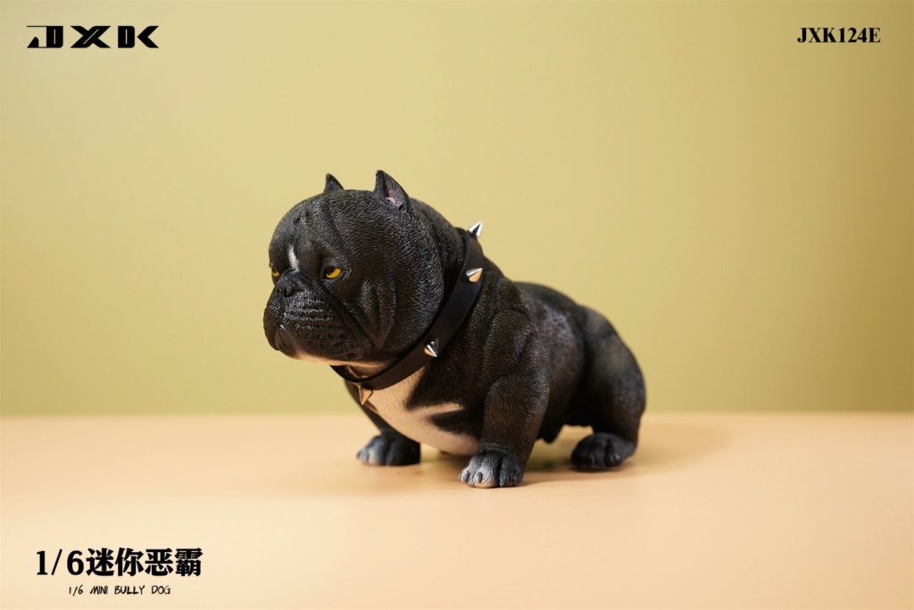 NEW PRODUCT: JXK Studio: 1/6 Mini Bull Dog (#JXK124) 17483310
