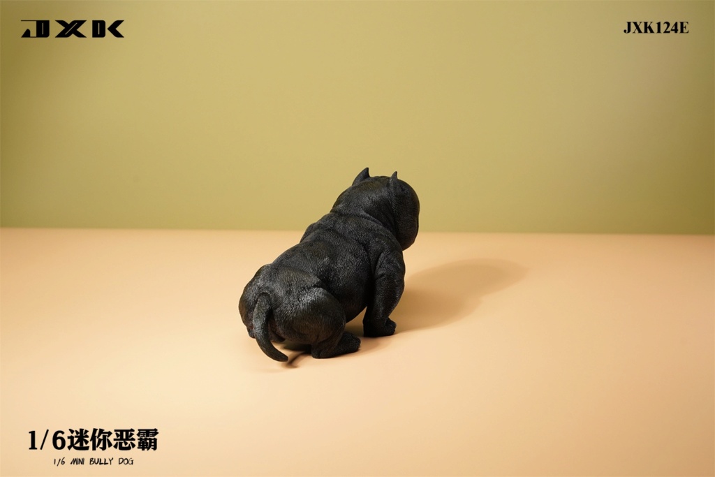NEW PRODUCT: JXK Studio: 1/6 Mini Bull Dog (#JXK124) 17483410