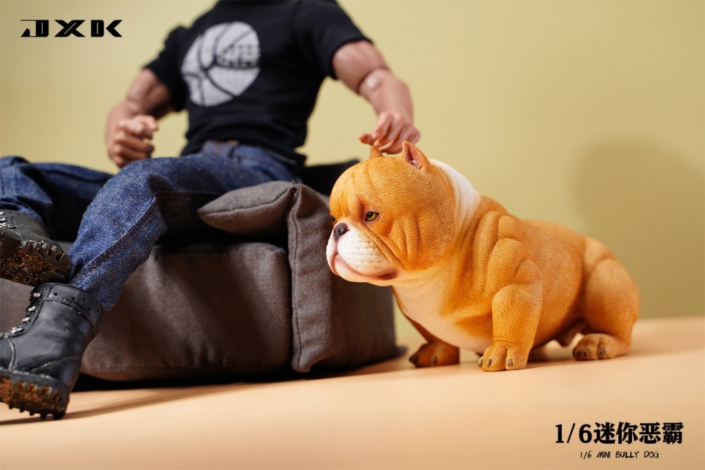 NEW PRODUCT: JXK Studio: 1/6 Mini Bull Dog (#JXK124) 17483411