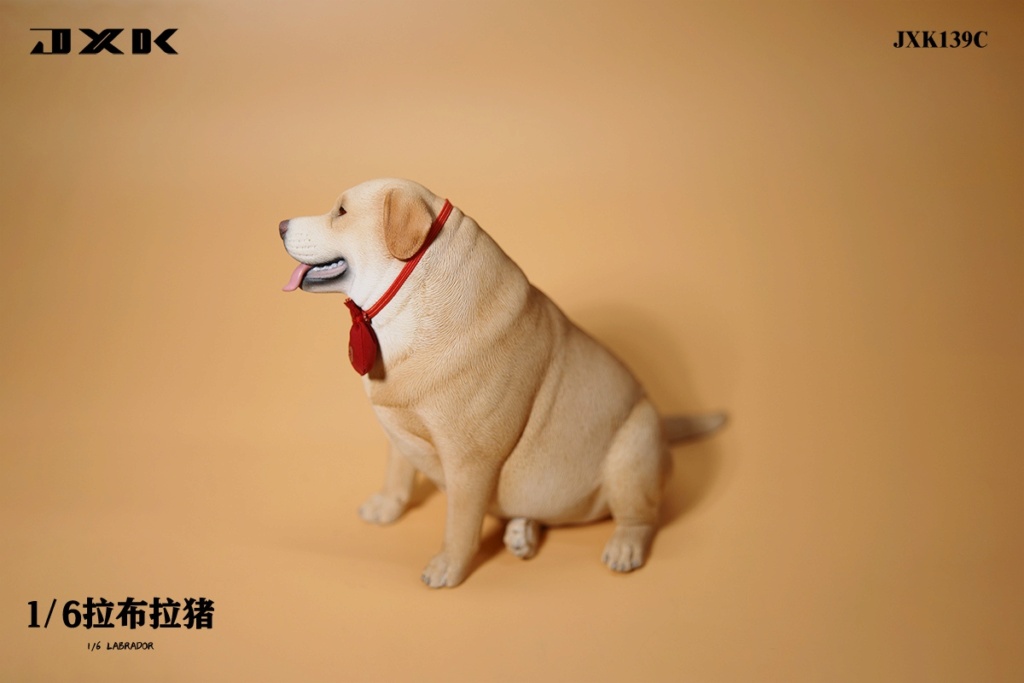 labrador - NEW PRODUCT: JXK Studio: Labrador (JXK139) (3 colors) 17580110