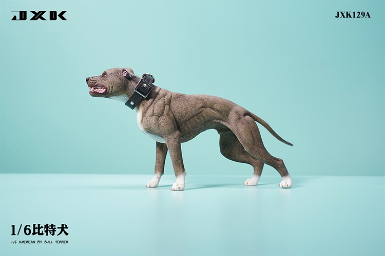 NEW PRODUCT: JXK Studio: 1/6 Pit Bull Terrier JXK129  18045310