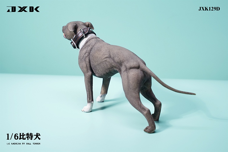 NEW PRODUCT: JXK Studio: 1/6 Pit Bull Terrier JXK129  18050210