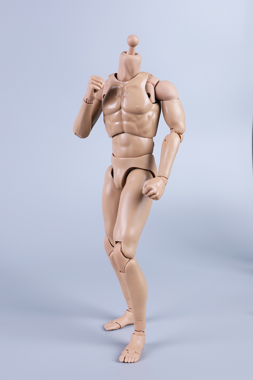 Body - NEW PRODUCT: COOMODEL: 1/6 MB001 standard male body, MB002 tall male body, MB003 muscle male body, MB004 tall muscle body 18092111